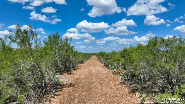 000 Old Fowlerton Rd, Fowlerton, TX 78021 - Image #2