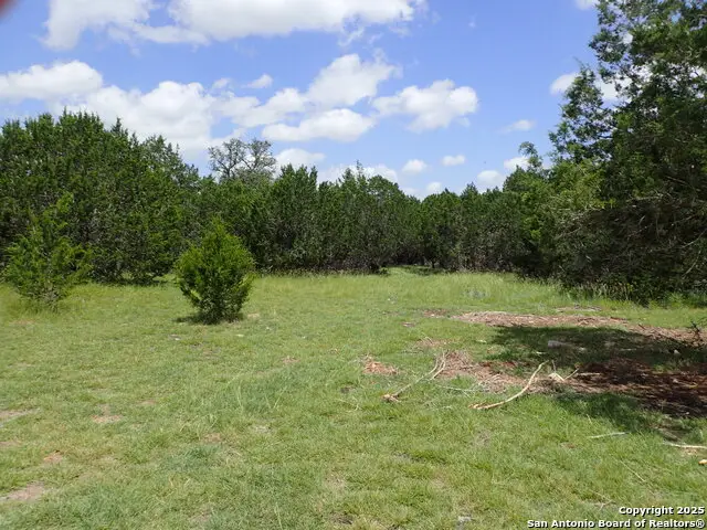 21 Tracie, Lakehills, TX 78063 - Image #1