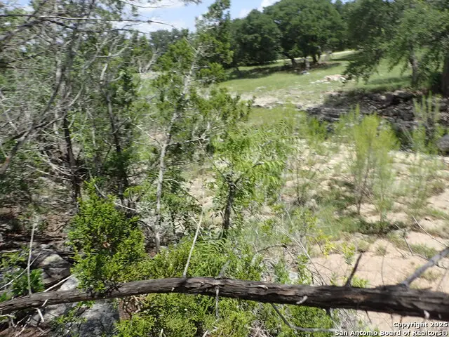 21 Tracie, Lakehills, TX 78063 - Image #3