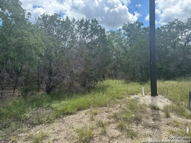 275 Serenity Pass, Spring Branch, TX 78070 - #2