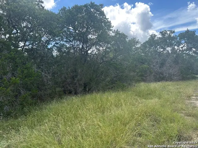 275 Serenity Pass, Spring Branch, TX 78070 - #3