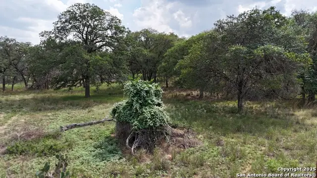 1228 Morning Glory Ln, Adkins, TX 78101 - Image #3