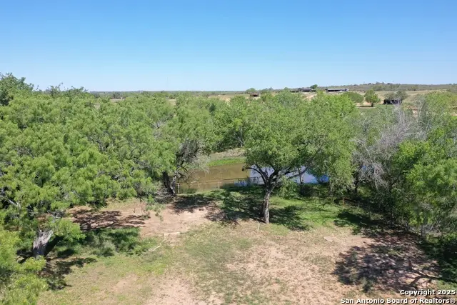 3894 S State Highway 173, Devine, TX 78016 - Image #3