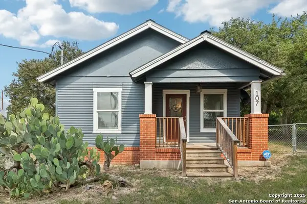 107 W Gilbert, Falls City, TX 78113