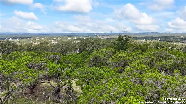 697 Travis Forest, Bulverde, TX 78163 - Image #2