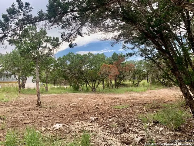 807 Stagecoach, Spring Branch, TX 78070 - Image #1