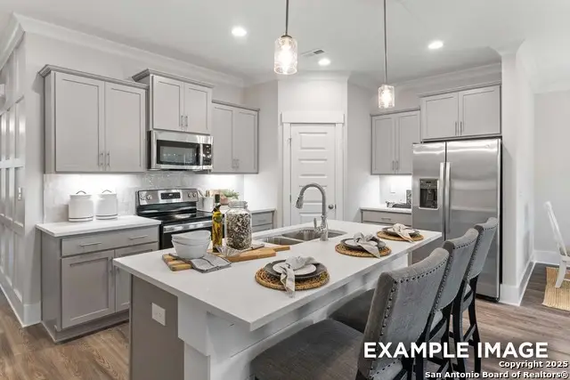 16540 Rosemary Ridge, Elmendorf, TX 78112 - Image #2