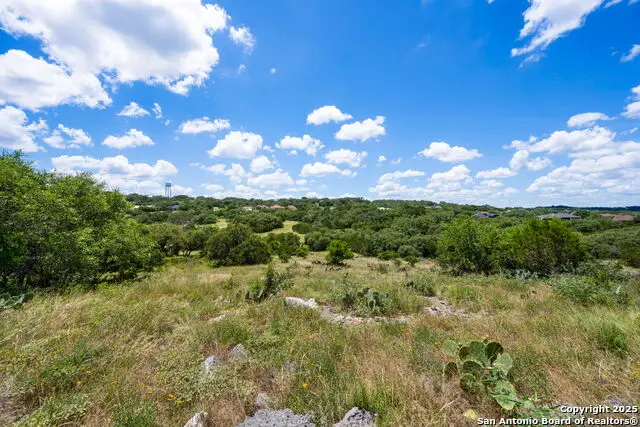 163 Northridge, New Braunfels, TX 78132 - #3