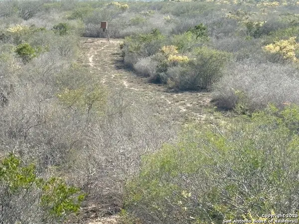 TR102 Frontier A Rd, Freer, TX 78357