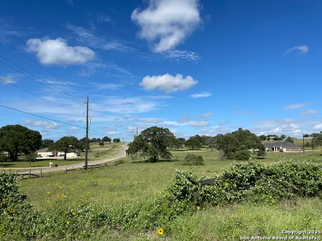 401 Shady Lane, La Vernia, TX 78121 - Image #1