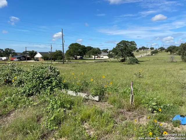 401 Shady Lane, La Vernia, TX 78121 - Image #2