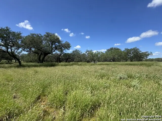 4405 St Hwy 173, Bigfoot, TX 78005 - Image #3