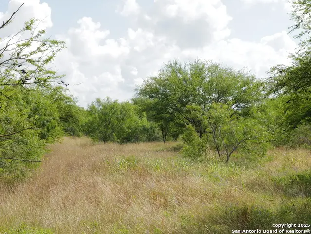 TRACT 2 County Rd 207, Hobson, TX 78117 - Image #3