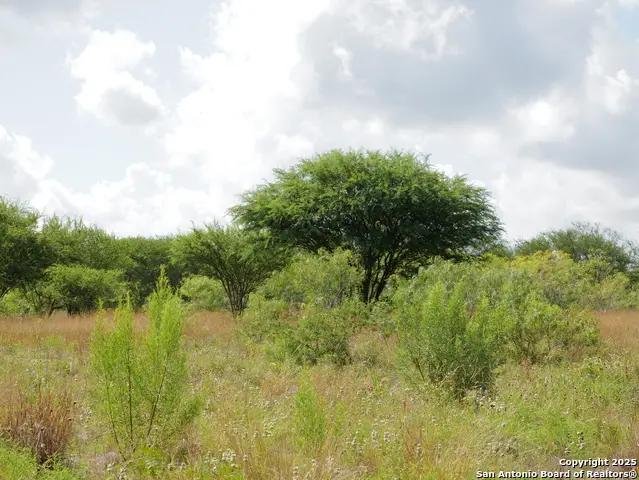 TRACT 3 County Rd 207, Hobson, TX 78117 - Image #3