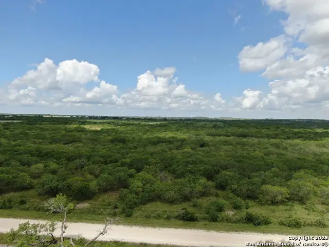 TRACT 4 County Rd 208, Hobson, TX 78117 - Image #2