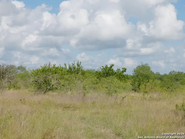 TRACT 5 County Rd 208, Hobson, TX 78117 - Image #2