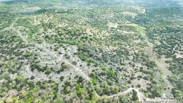 830 Dunners Mountain Drive, Sisterdale, TX 78006