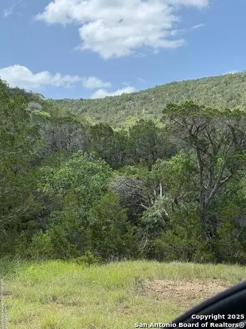 159 Valley Vista, Tarpley, TX 78883