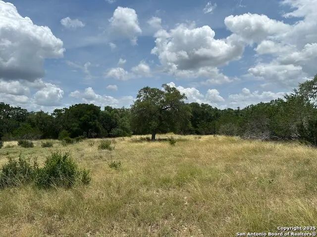 571 Rayner Ranch, Spring Branch, TX 78070 - #1