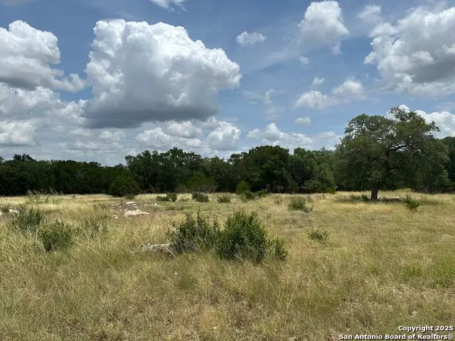 571 Rayner Ranch, Spring Branch, TX 78070 - #2