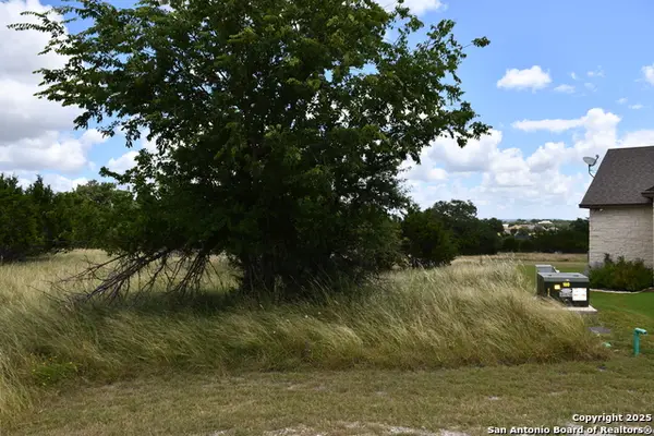 107 Silas Parker, Blanco, TX 78606