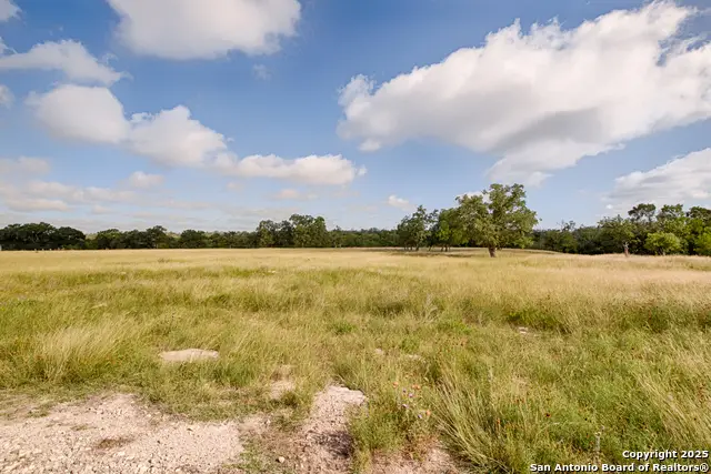 LOT 23 Goose Landing Way, Harper, TX 78631 - #2