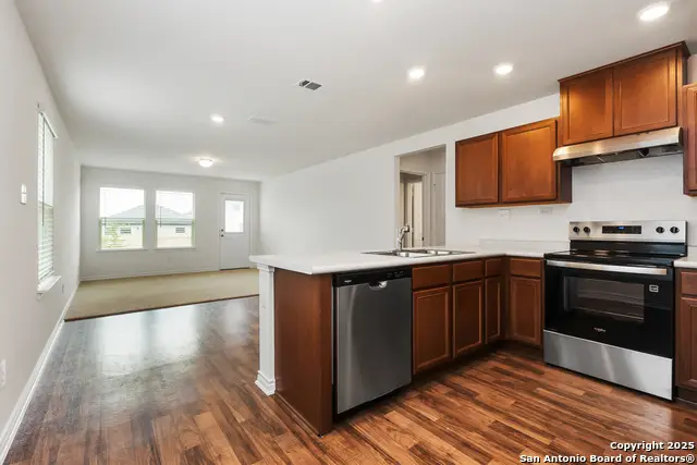 14438 Ribbon Tail, Elmendorf, TX 78112 - Image #3