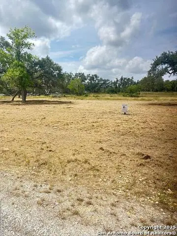 658 Windmill Ridge, Blanco, TX 78606 - Image #3