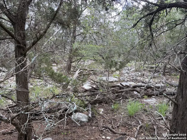 203 Bluff View, Spring Branch, TX 78070 - Image #2