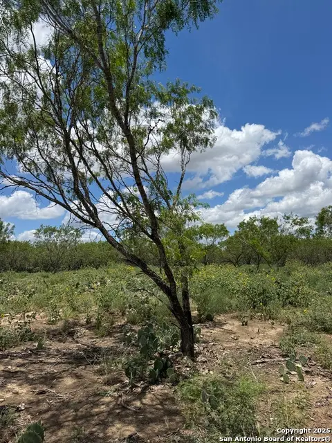 04 Windmill Ranchettes Cr 329, Jourdanton, TX 78064