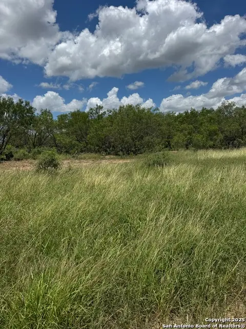 04 Windmill Ranchettes Cr 329, Kyle Buda, TX 78064 - #2