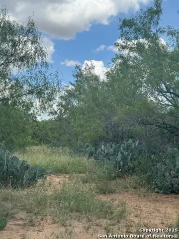 10 Windmill Ranchettes Cr 329, Jourdanton, TX 78026 - Image #3