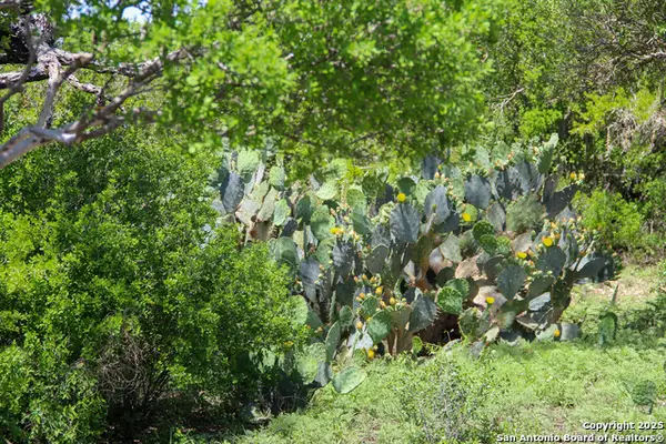 1400 Fm 1343, Castroville, TX 78009