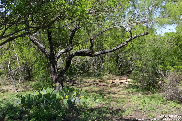 1400 Fm 1343, Castroville, TX 78009 - Image #3