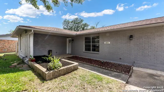 6311 Macaw, San Antonio, TX 78218 - Image #3