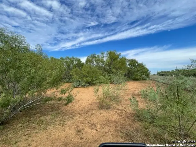 20 Windmill Ranchettes Cr 329, Jourdanton, TX 78064 - Image #3