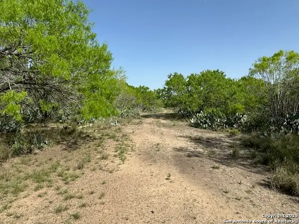 21 Windmill Ranchettes Cr 329, Jourdanton, TX 78064