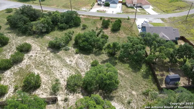 116 Peter Kleid Lp, Blanco, TX 78606 - Image #2