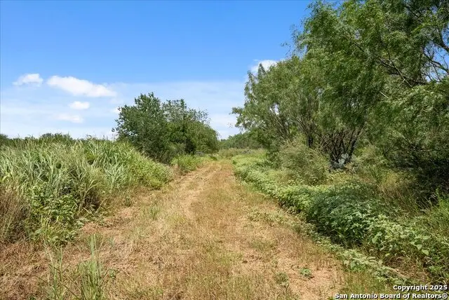 00 Cr 304, Jourdanton, TX 78026 - Image #2