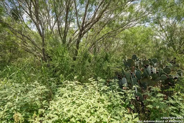 00 Cr 304, Jourdanton, TX 78026 - Image #3