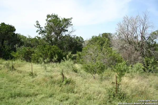 28028 Old Windmill Rd, New Braunfels, TX 78163