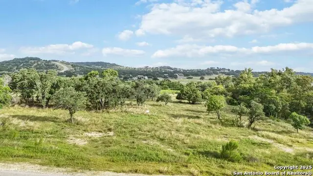LOT 57 Falling Oak Drive, Blanco, TX 78606 - Image #3