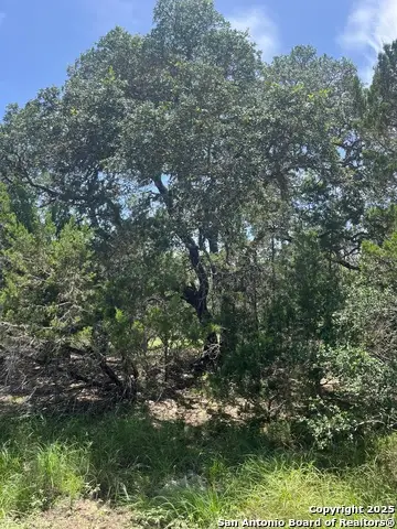 559 Rio Ridge, Spring Branch, TX 78070 - Image #3