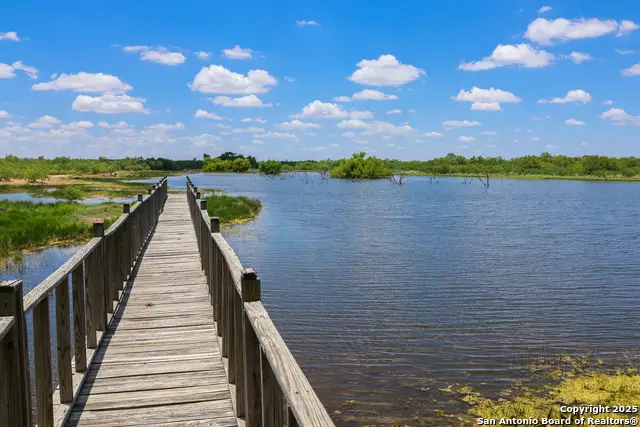 773 Toquigny, Carrizo Springs, TX 78834 - Image #2