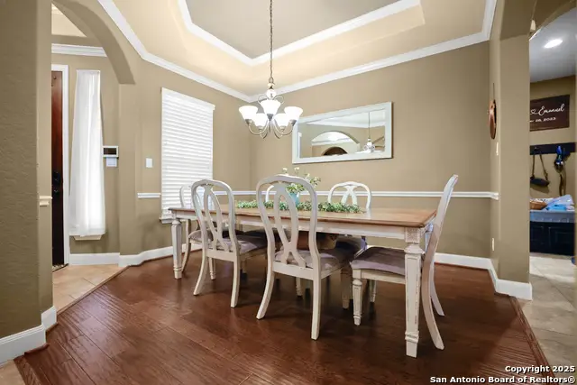 3843 Ox-eye Daisy, San Antonio, TX 78261 - Image #3