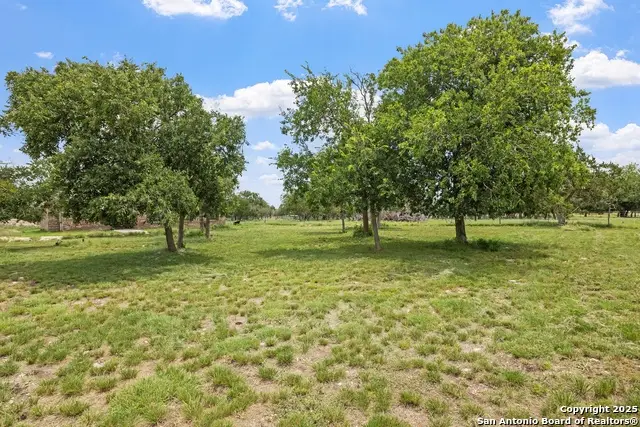 143 Michael Dr, Harper, TX 78631 - Image #3