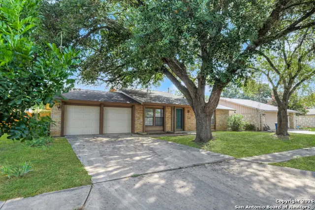 7447 Elderberry, San Antonio, TX 78240 - Image #3