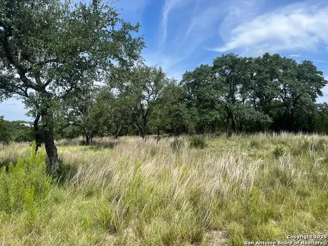 137 Hill Myna, Spring Branch, TX 78070 - Image #2