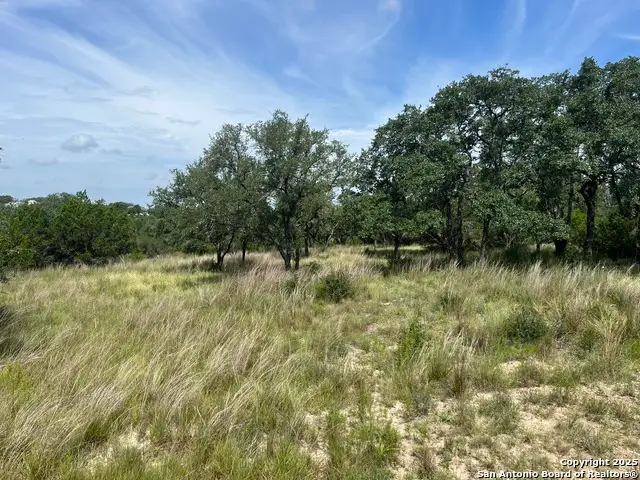 137 Hill Myna, Spring Branch, TX 78070 - Image #3