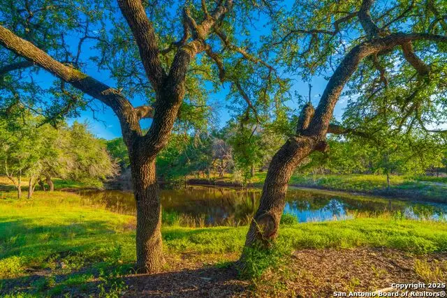 118 Majestic Oaks Drive, Boerne, TX 78006 - Image #2